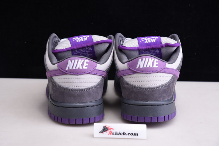 nike dunk sb low purple pigeon 304292-051
