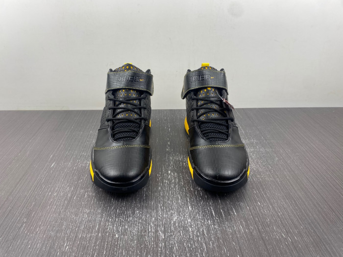 nike zoom kobe 2 carpe diem 316022-001