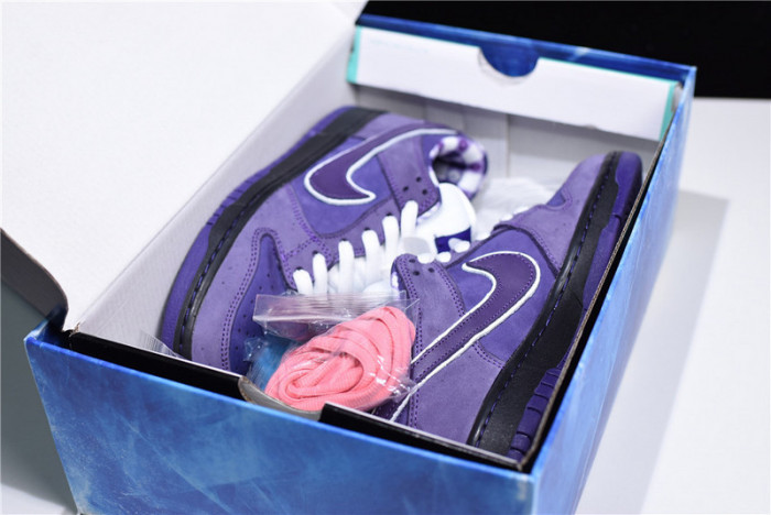nike sb dunk low concepts purple lobster bv1310-555