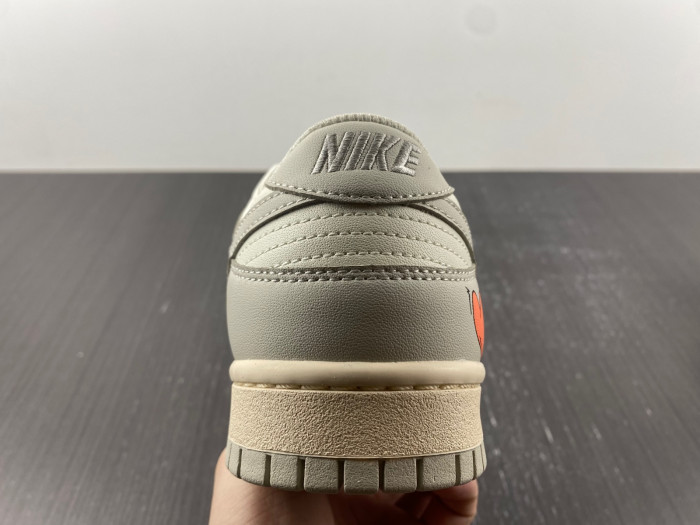 nike dunk low Ch*0me He**ts dd1503-107.