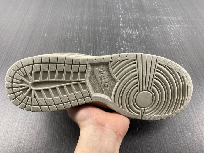 nike dunk low Ch*0me He**ts dd1503-107.