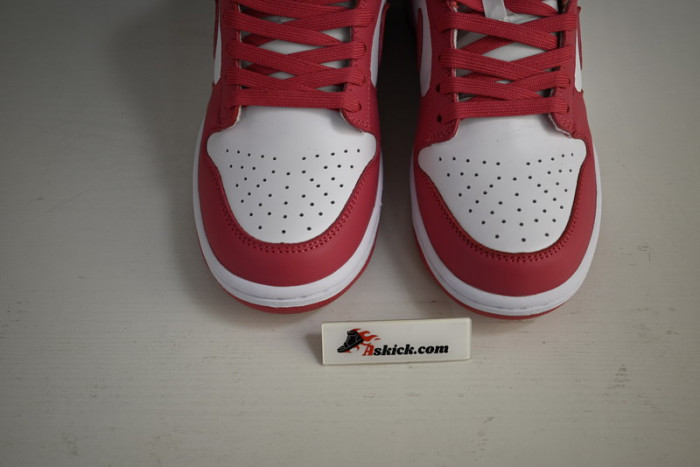 nike dunk low archeo pink (w) dd1503-111