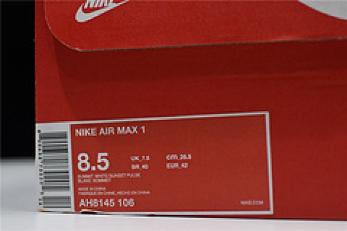 Nike Air Max Anniversary Watermelon AH8145-106